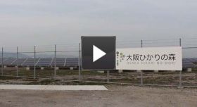 Harvesting a solar farm